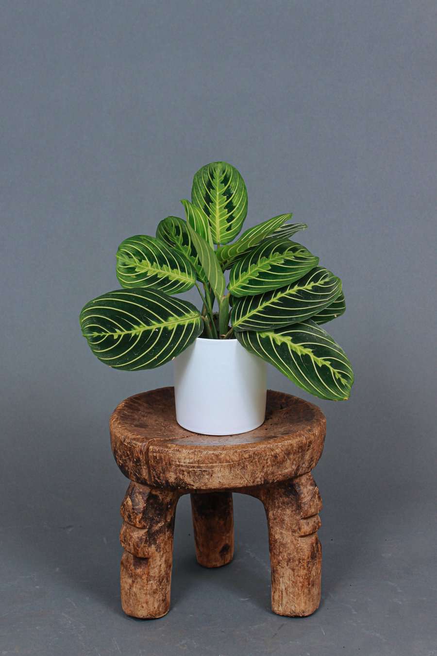 柠檬石灰祷告厂，目前在接地时出售