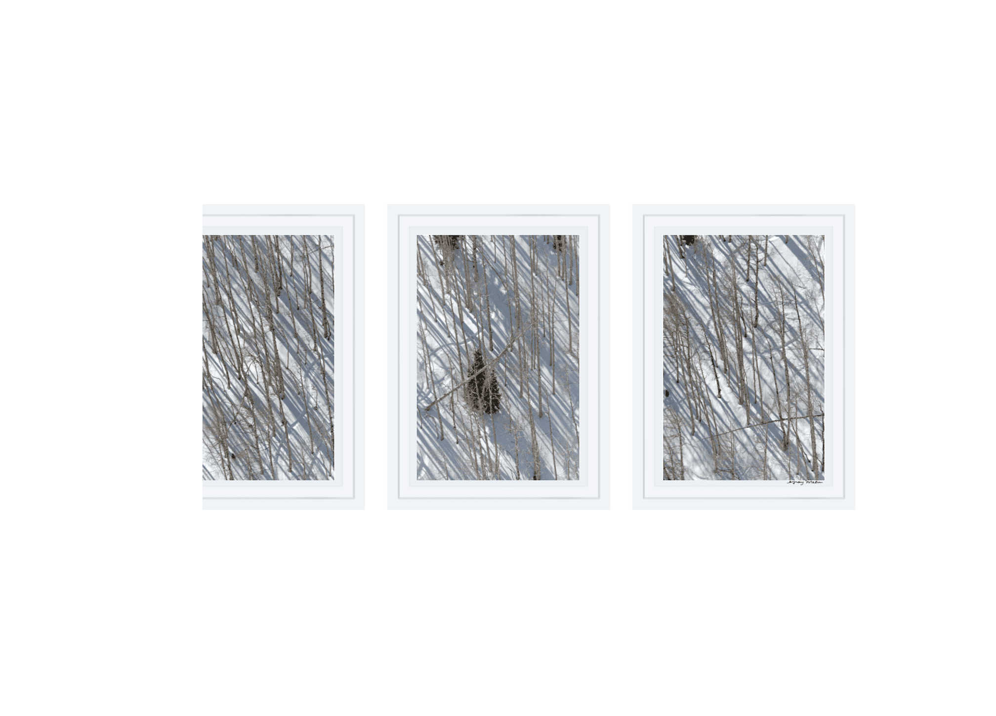 圣丹斯桦树三联画