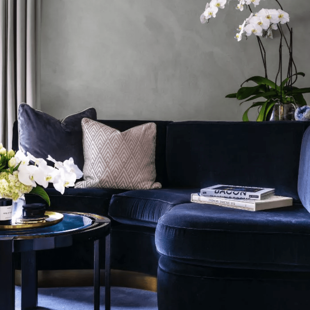 在紫色调两种白兰花植物别致的办公室