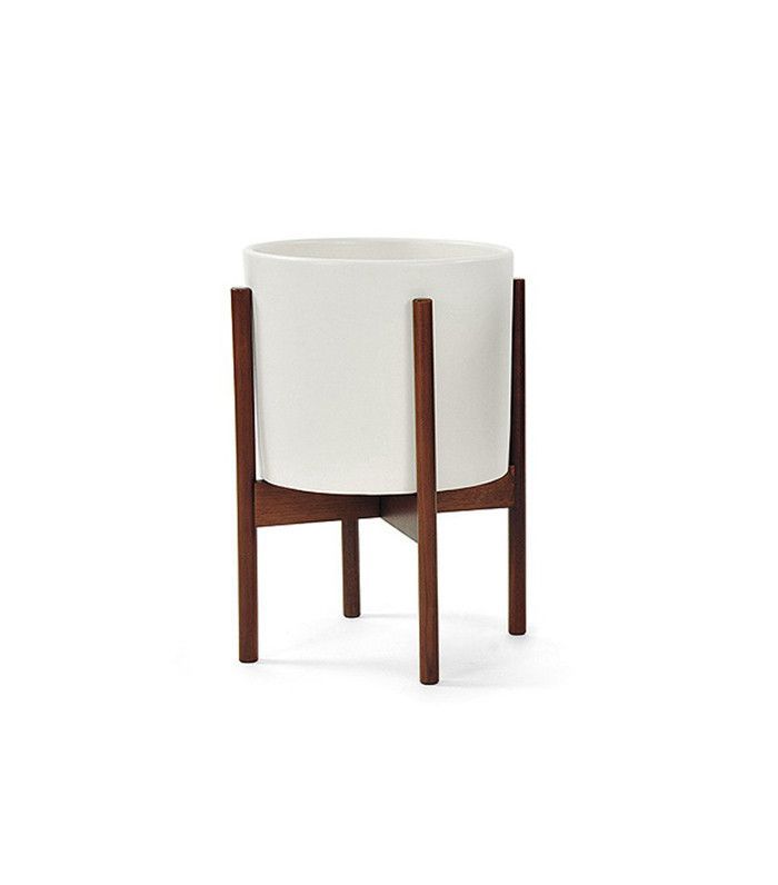 食宿费为例种植核桃展位