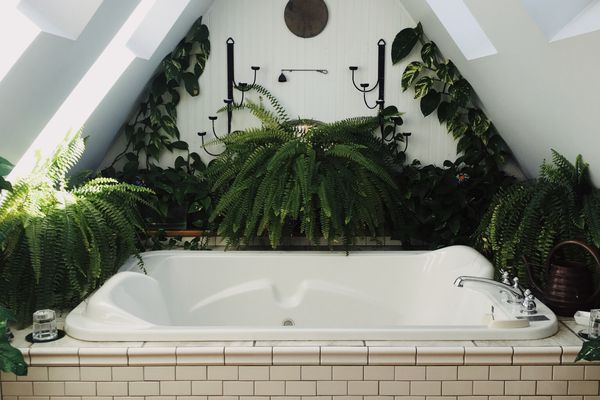包括周围按摩浴缸蕨类植物和A-帧浴室