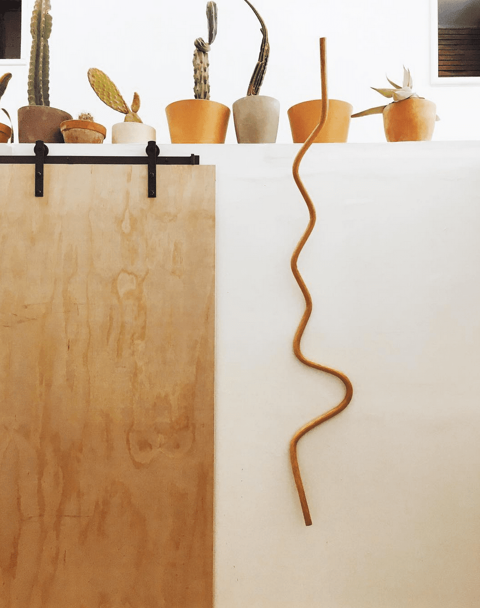 壁与种植仙人掌和一个抽象的波形曲线壁艺术作品。