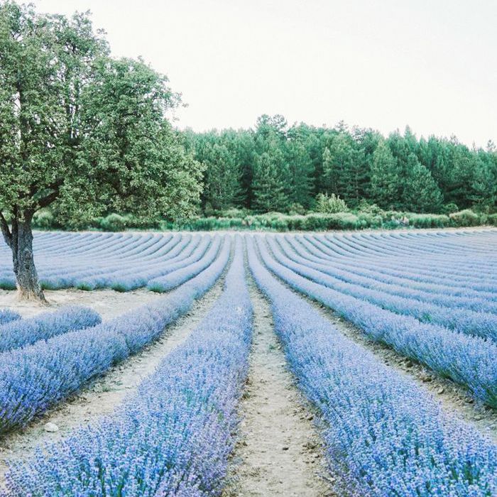 美丽的欧洲旅游目的地