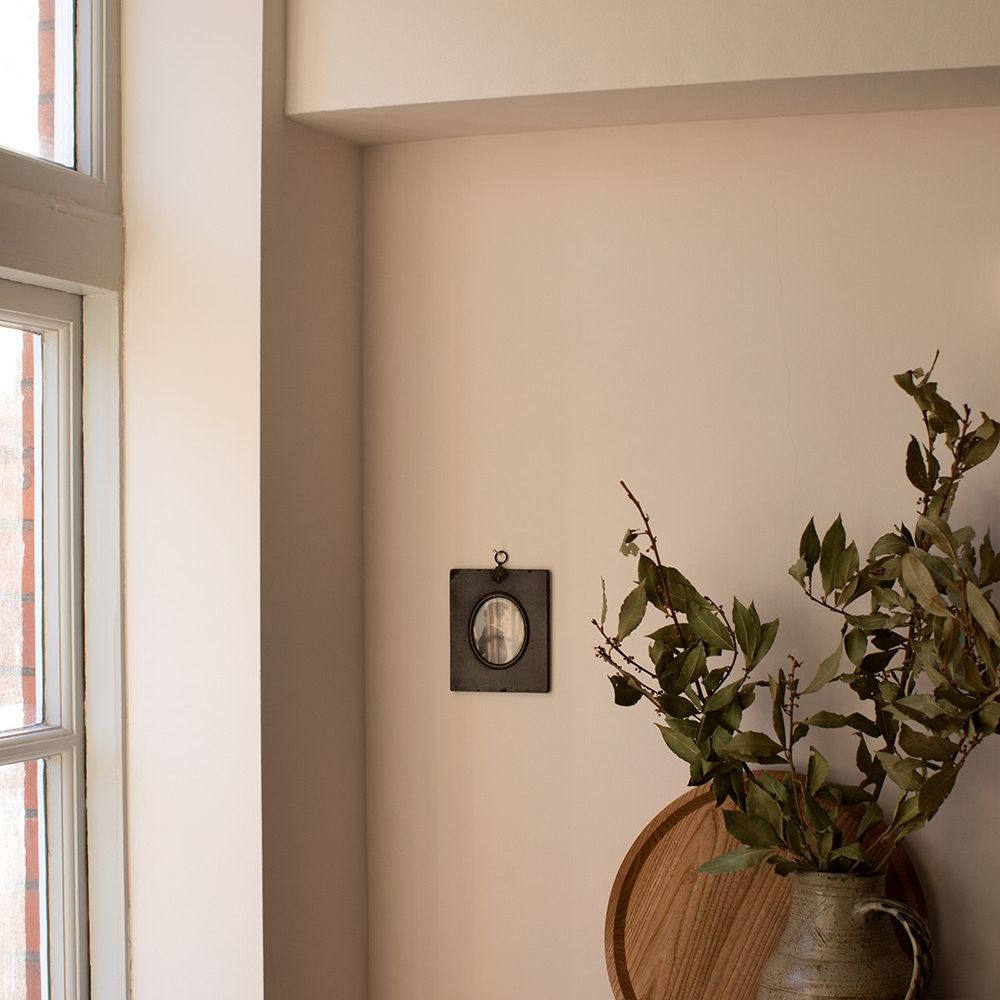 埃利斯涂料褪色的花油漆颜色