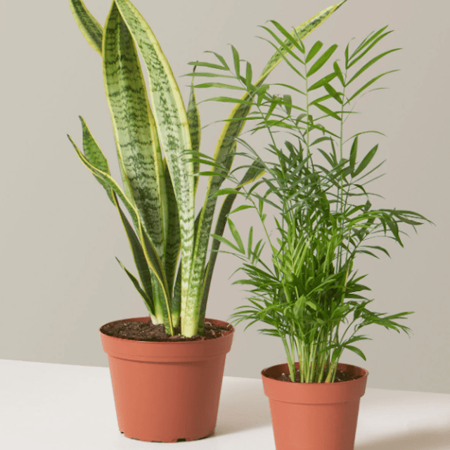 垂直空间捆绑的窗台