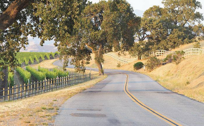 一条蜿蜒小路穿过丹麦村，加利福尼亚州附近的一个葡萄园