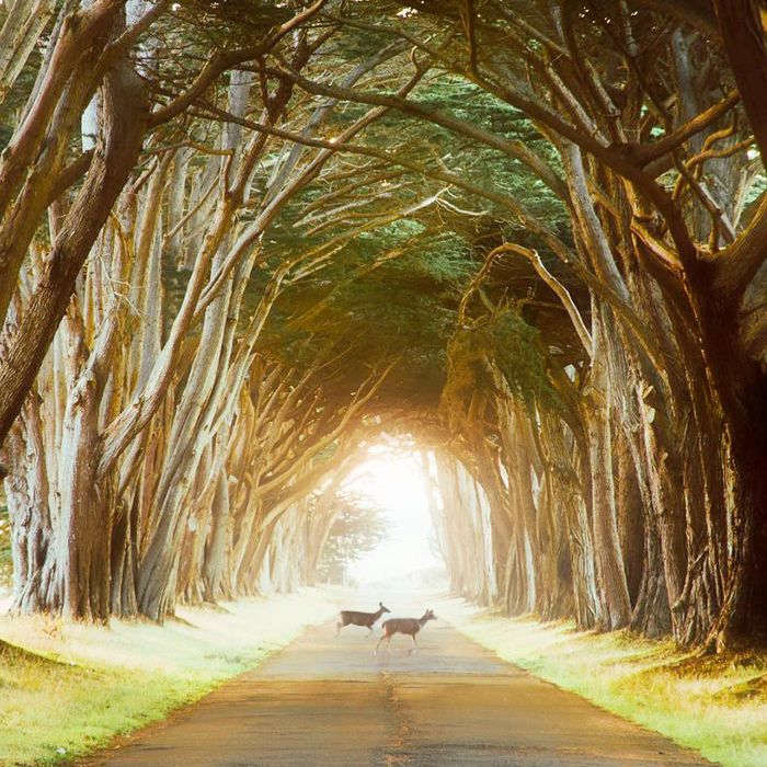 点雷耶斯，加利福尼亚州