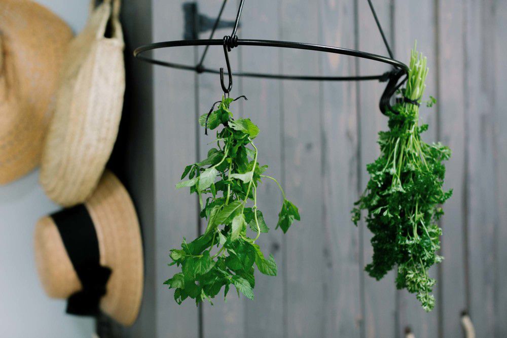 悬挂草本花园戴安娜伊丽莎白