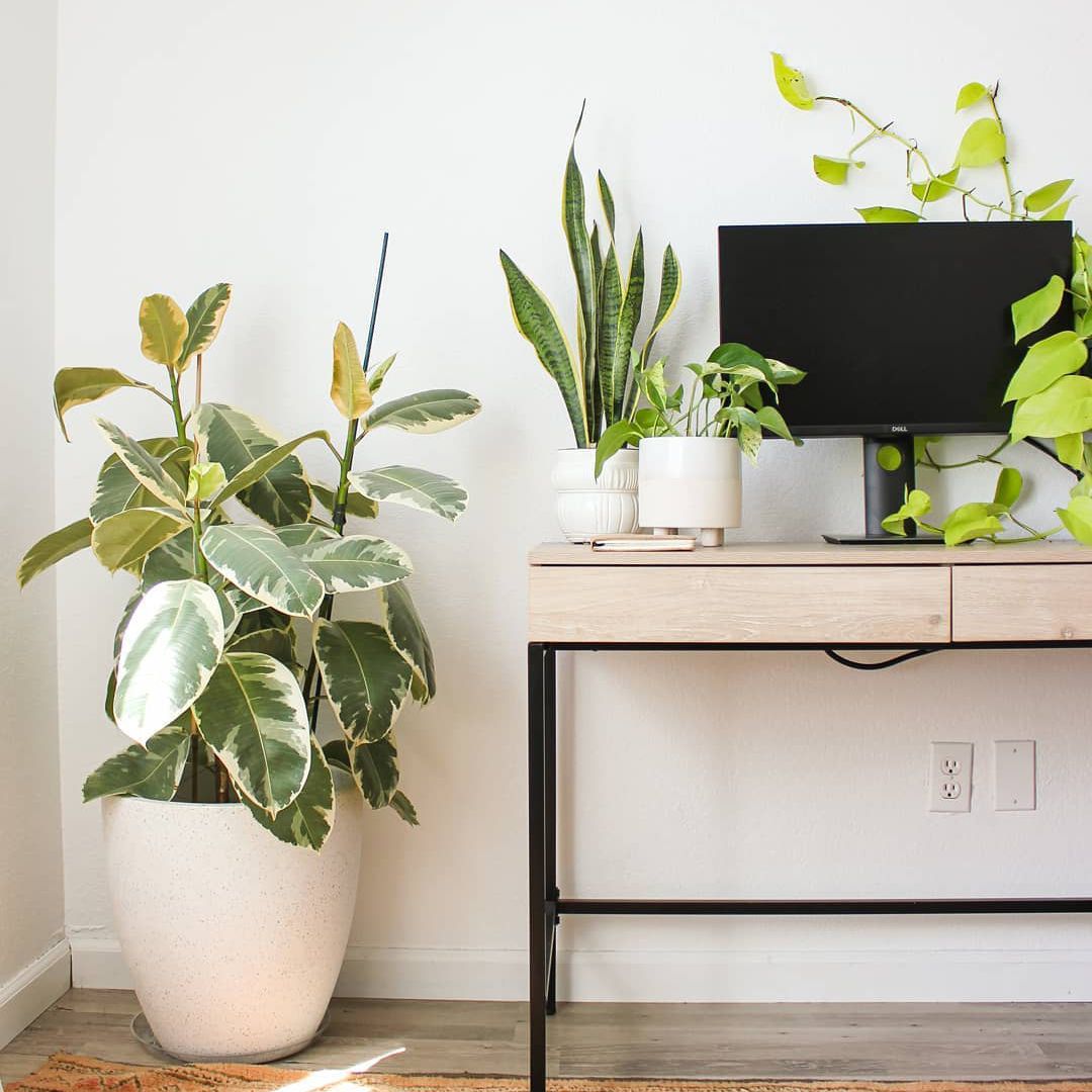 在一个角落里的霓虹酒坑