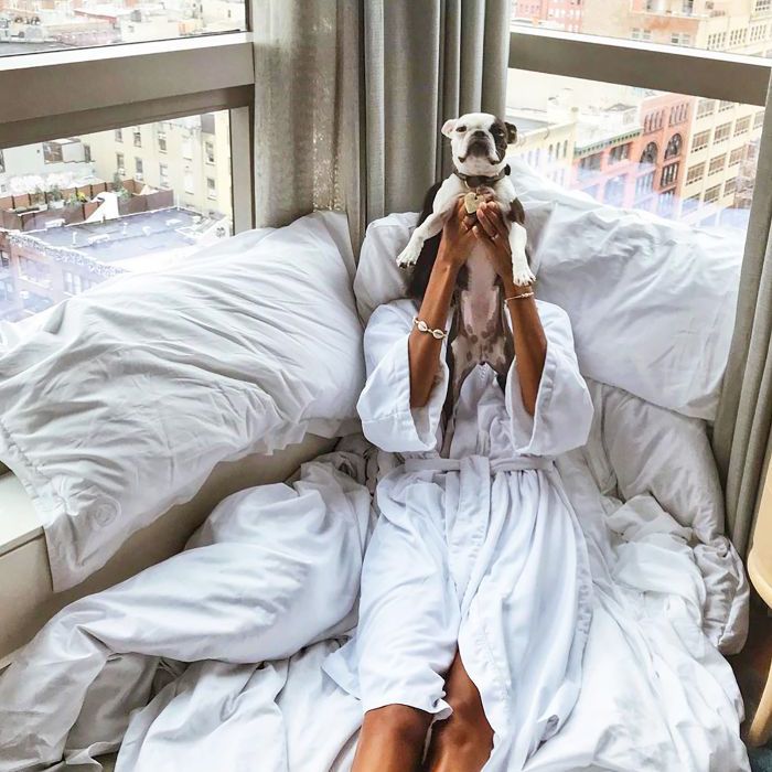 与狗一起旅行的建议