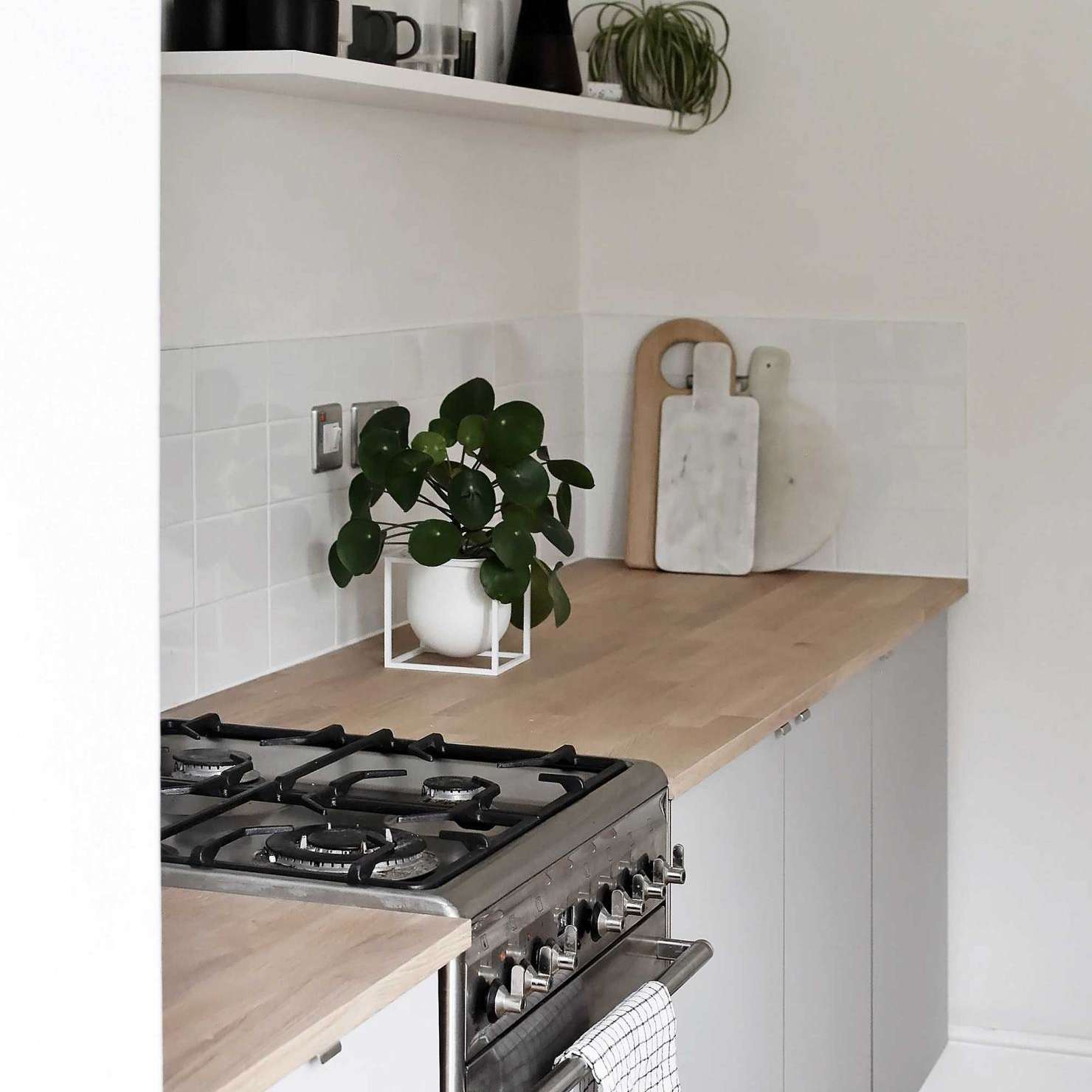 有木台式和小植物的厨房。