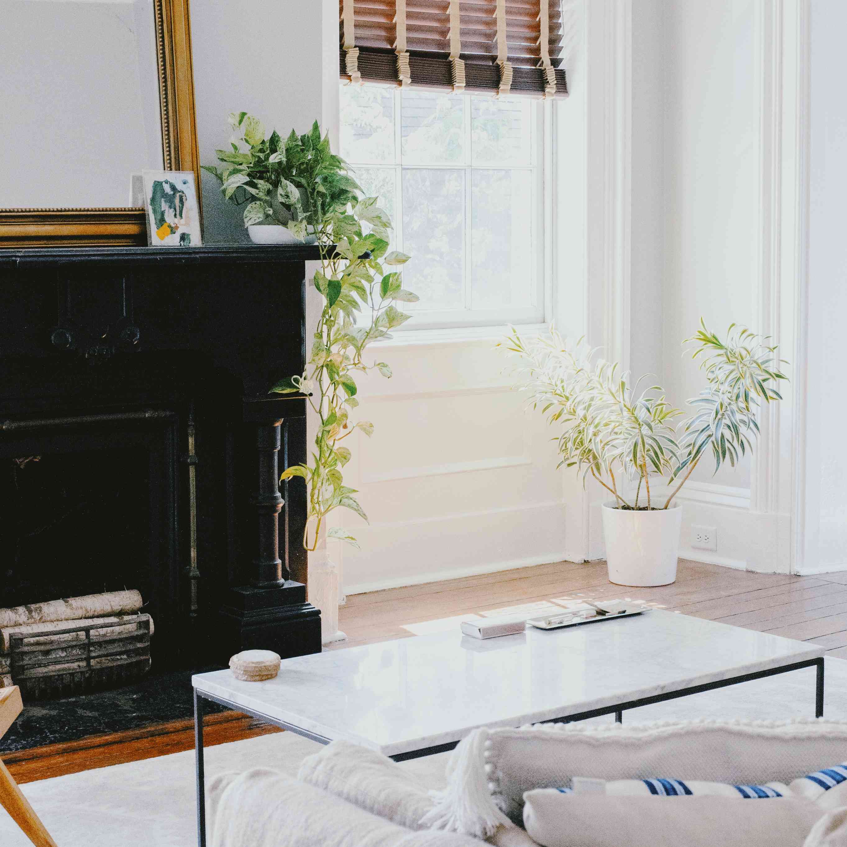 阿曼达·格里利家之旅 - 客厅沙发和咖啡桌