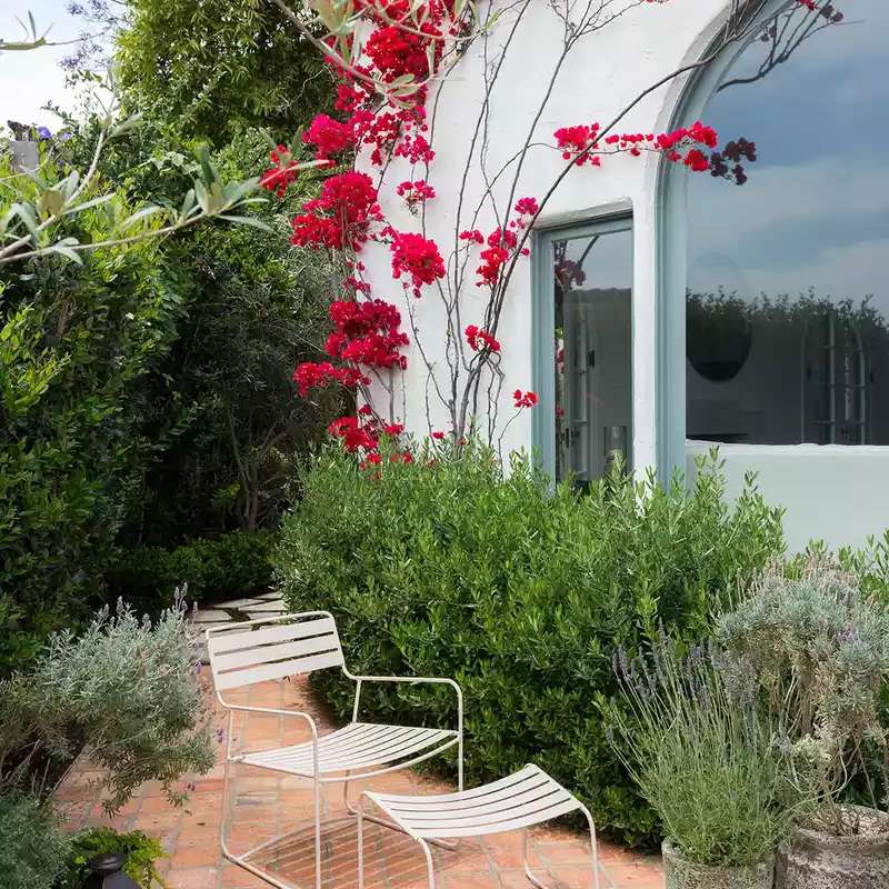 艾米巴特兰走道与座位