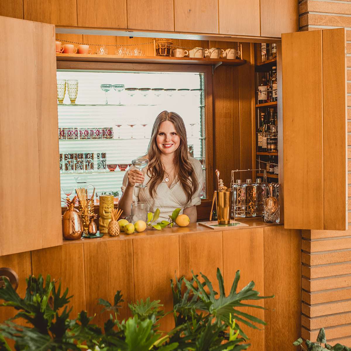 厨房厨房-世纪中期的酒吧设计