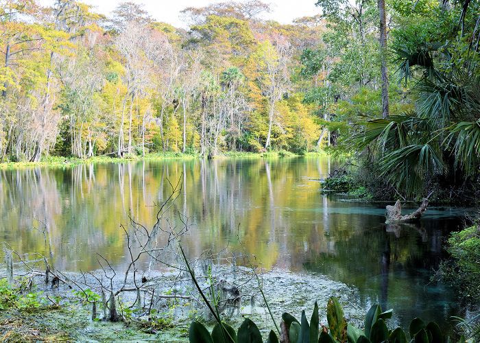 奥卡拉，佛罗里达的秋天