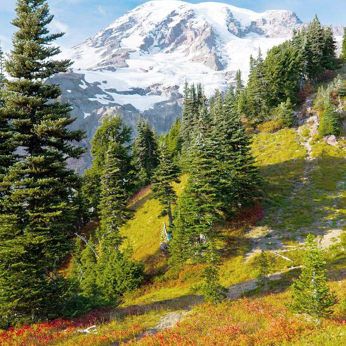 公吨。在秋天多雨