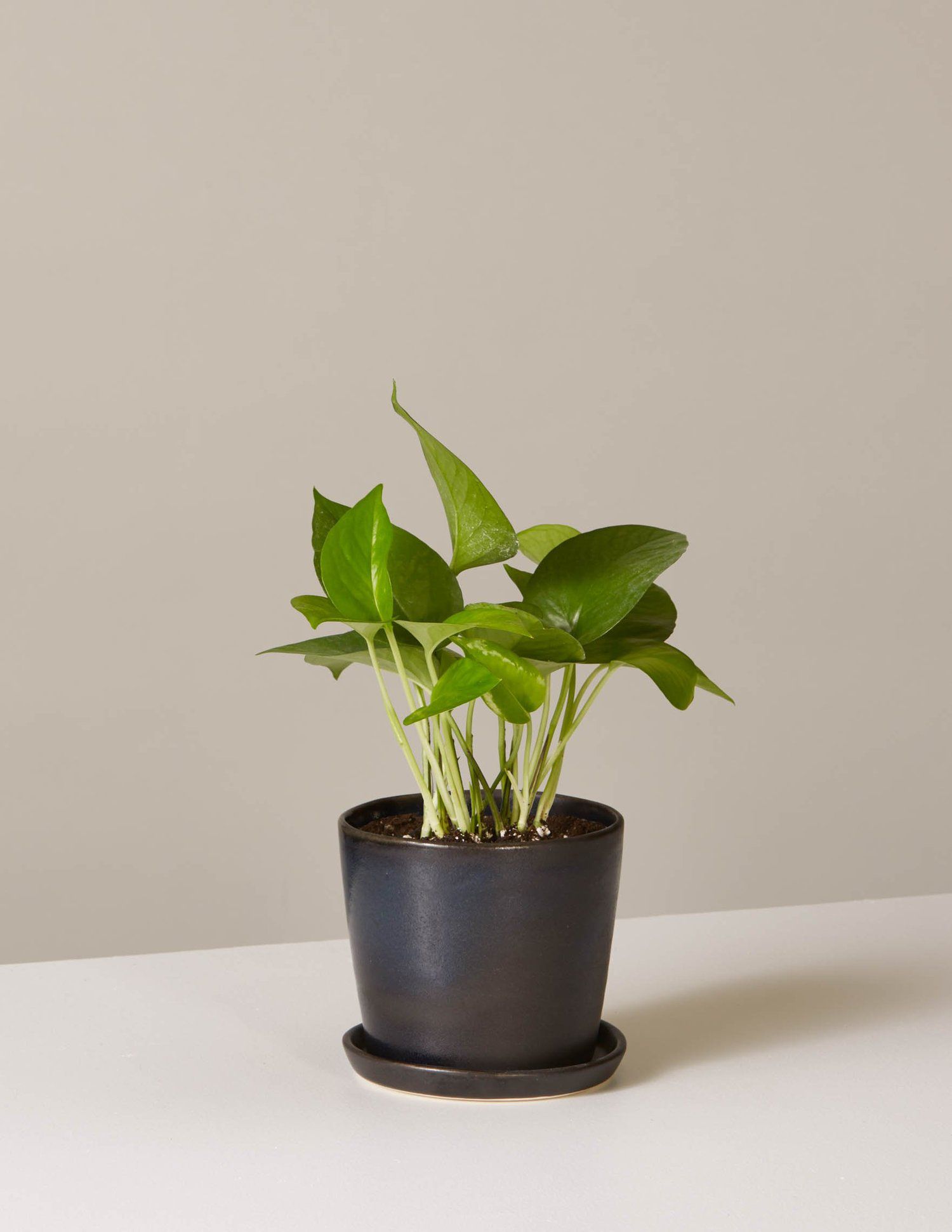 开放式搁置厨房的想法