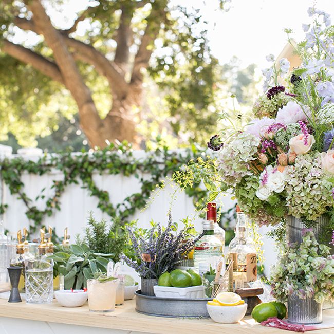 后院的鸡尾酒会