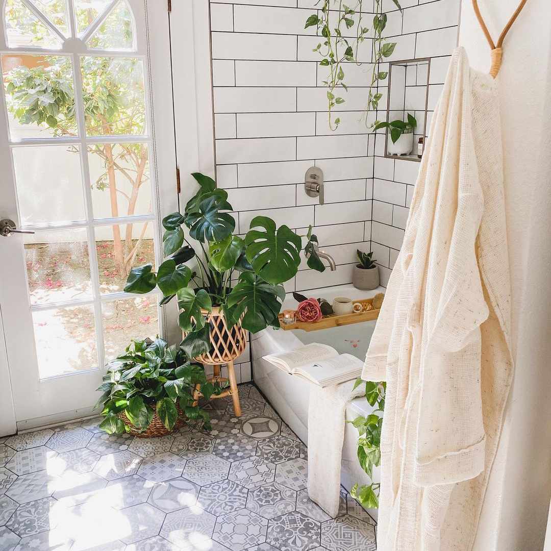 植物在晴朗的浴室。