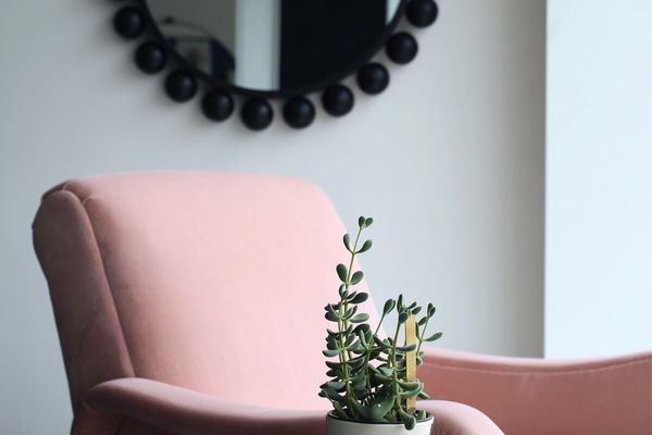 最好的窗台植物:玉