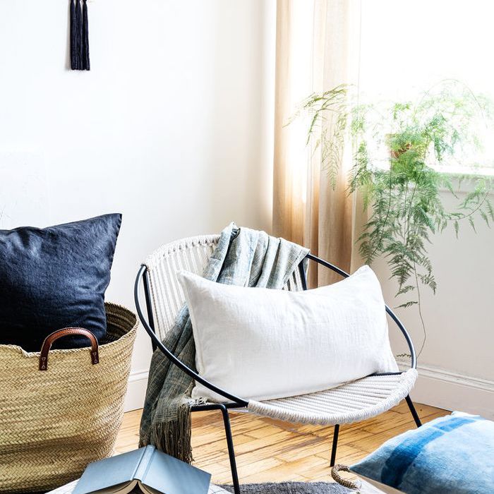 最佳室内植物“class=