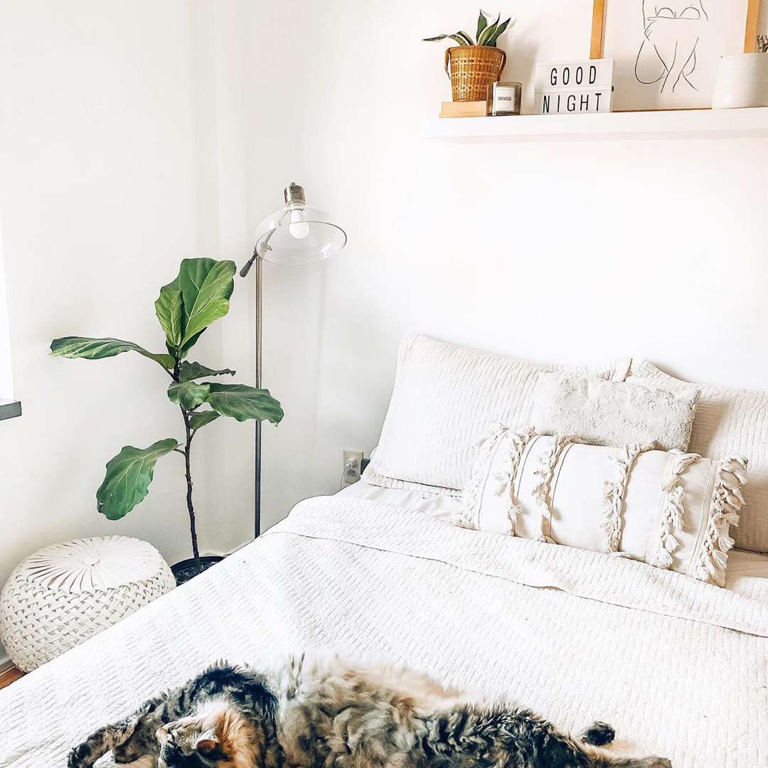 床头柜上的想法