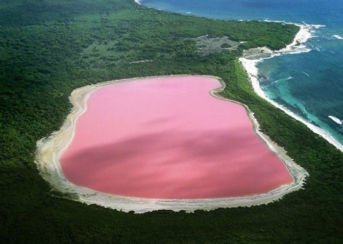 粉色的澳大利亚希利尔湖