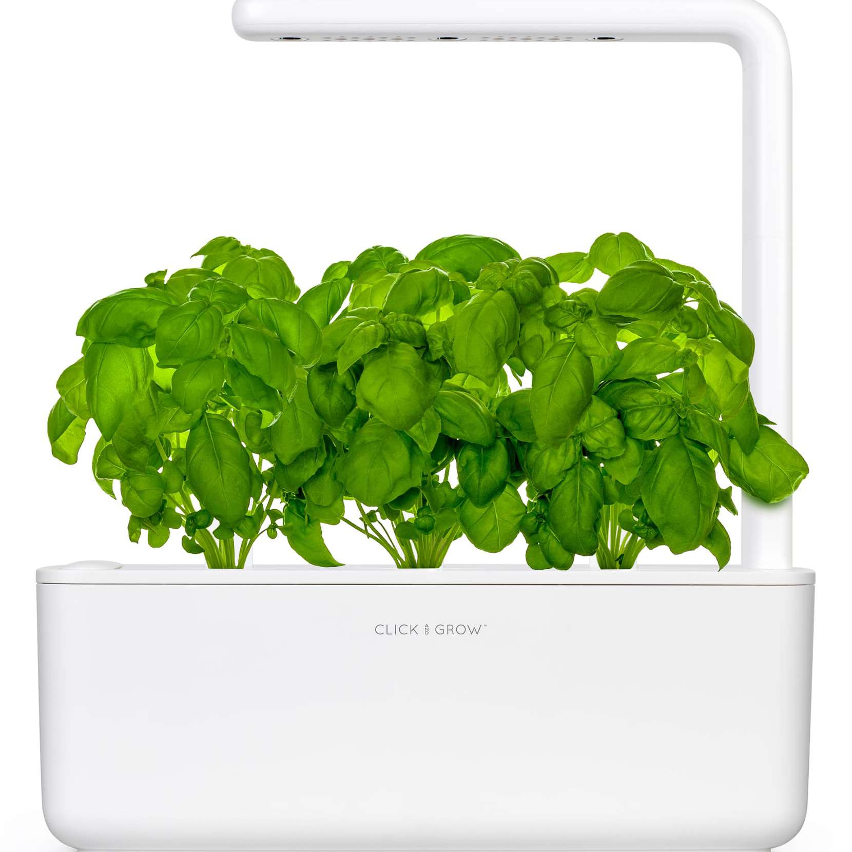 点击和成长的智能花园