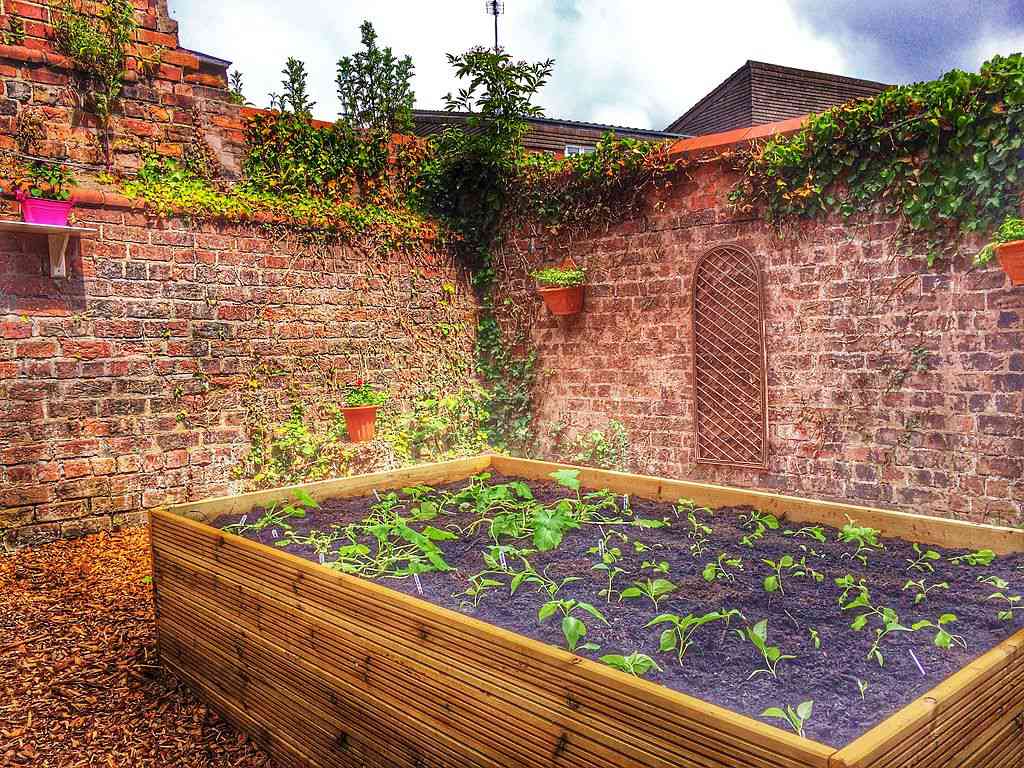 凸起的花园床。