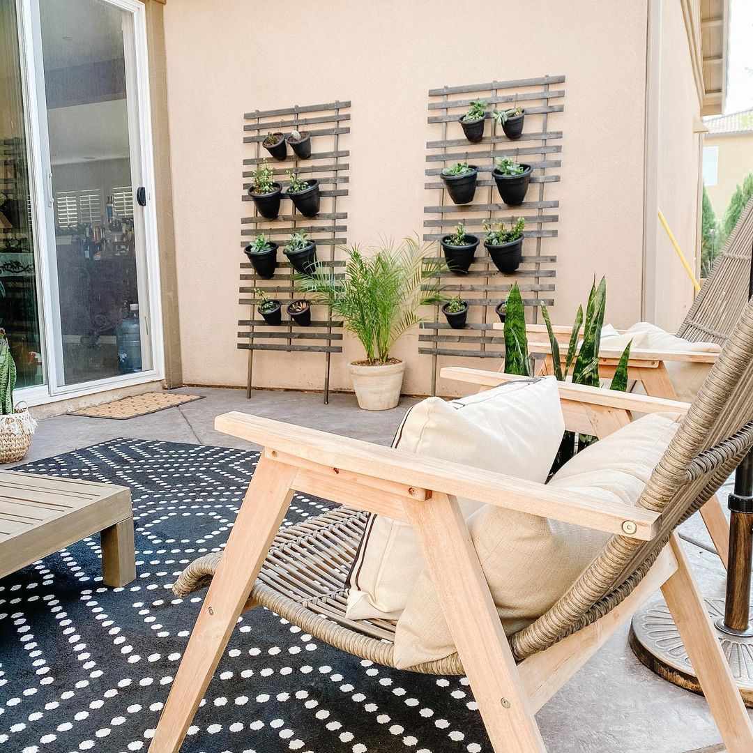 院子的墙上挂着植物