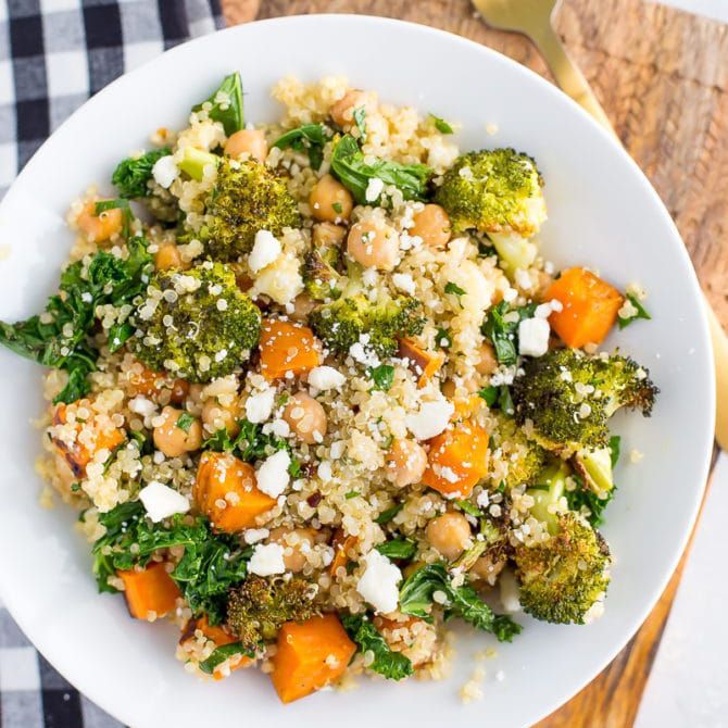 最佳食谱菜类为食的鸟食