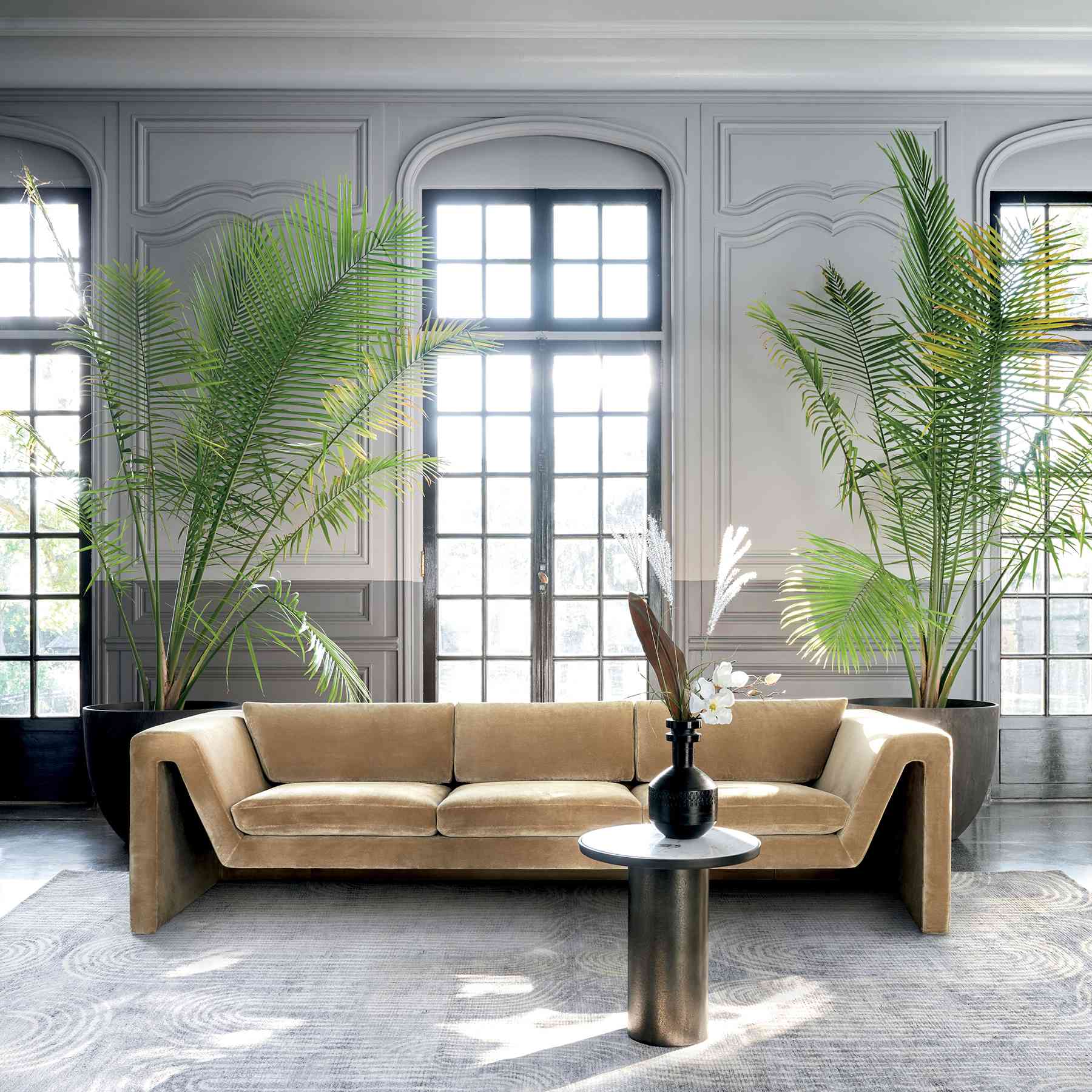 CB2 2021设计趋势 - 天鹅绒沙发和超大植物