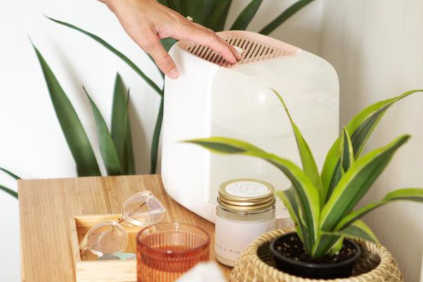 带植物的雨棚加湿器