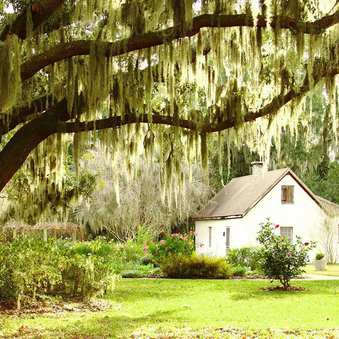 美国最美丽的城镇