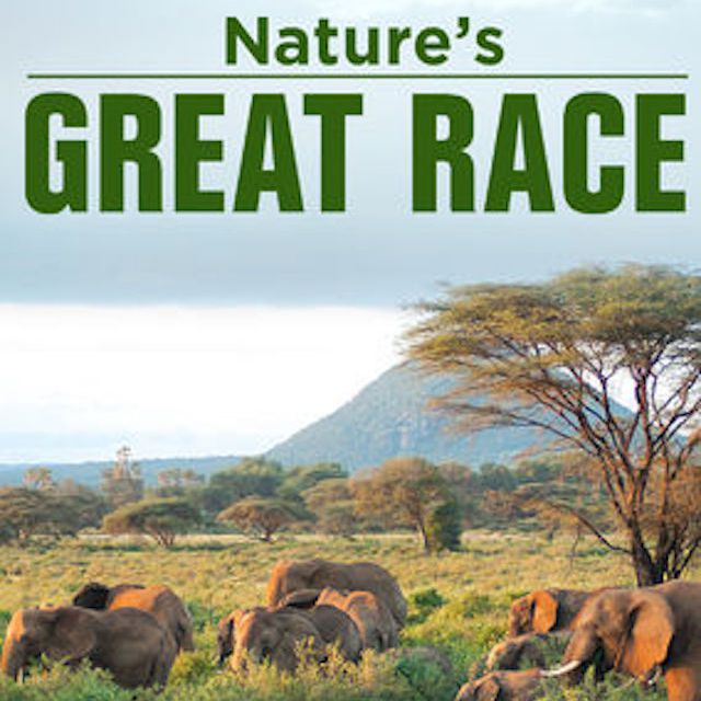 大自然的伟大的比赛