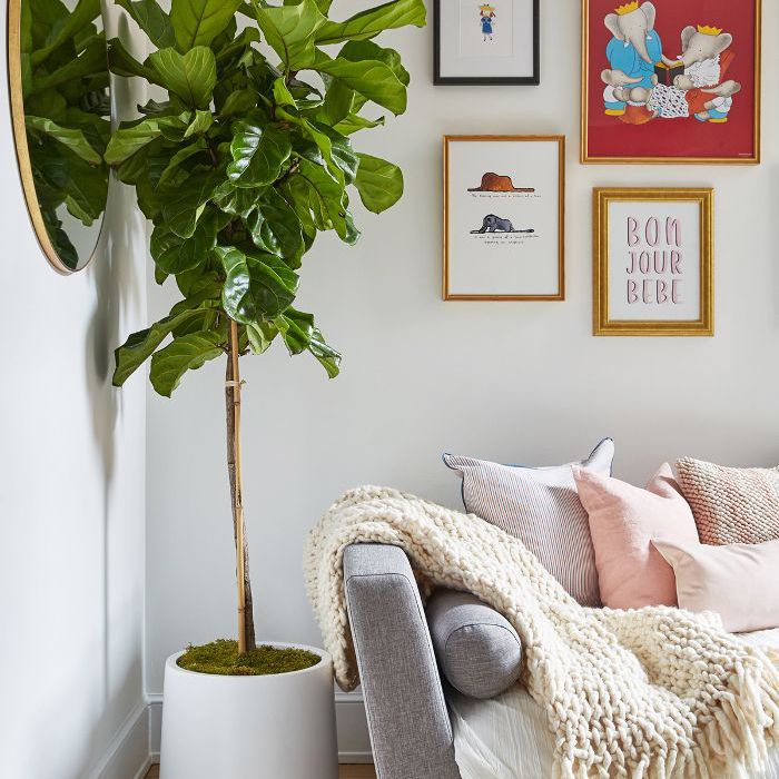 现代纽约托儿所